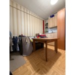 Namas su 12 arų sklypu Saulėlydžio g. 18 Kaunas